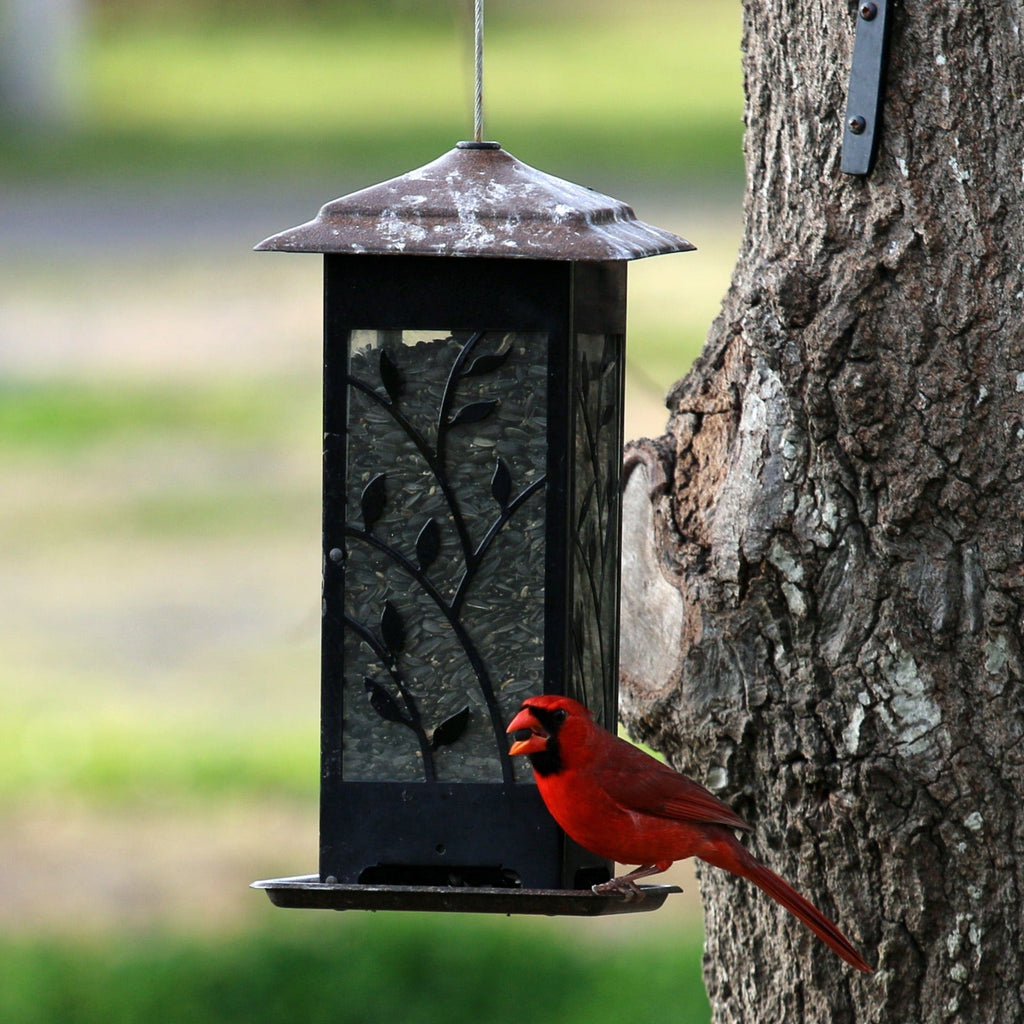 Wild Bird Food product image 7