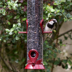 Wild Bird Food product image 9