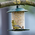 Wild Bird Seed Mix product image 9