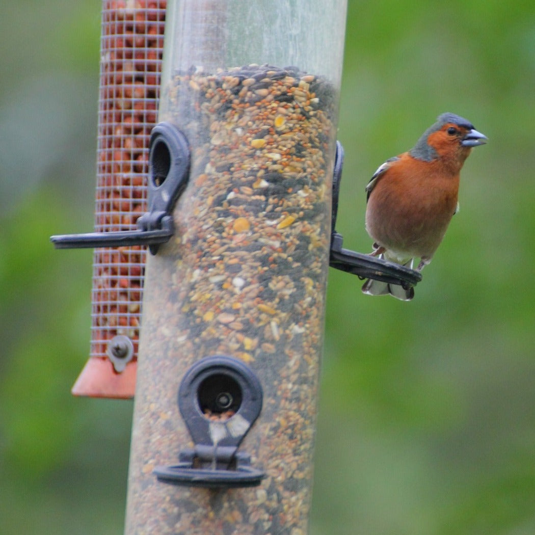 Wild Bird Seed Mix product image 12