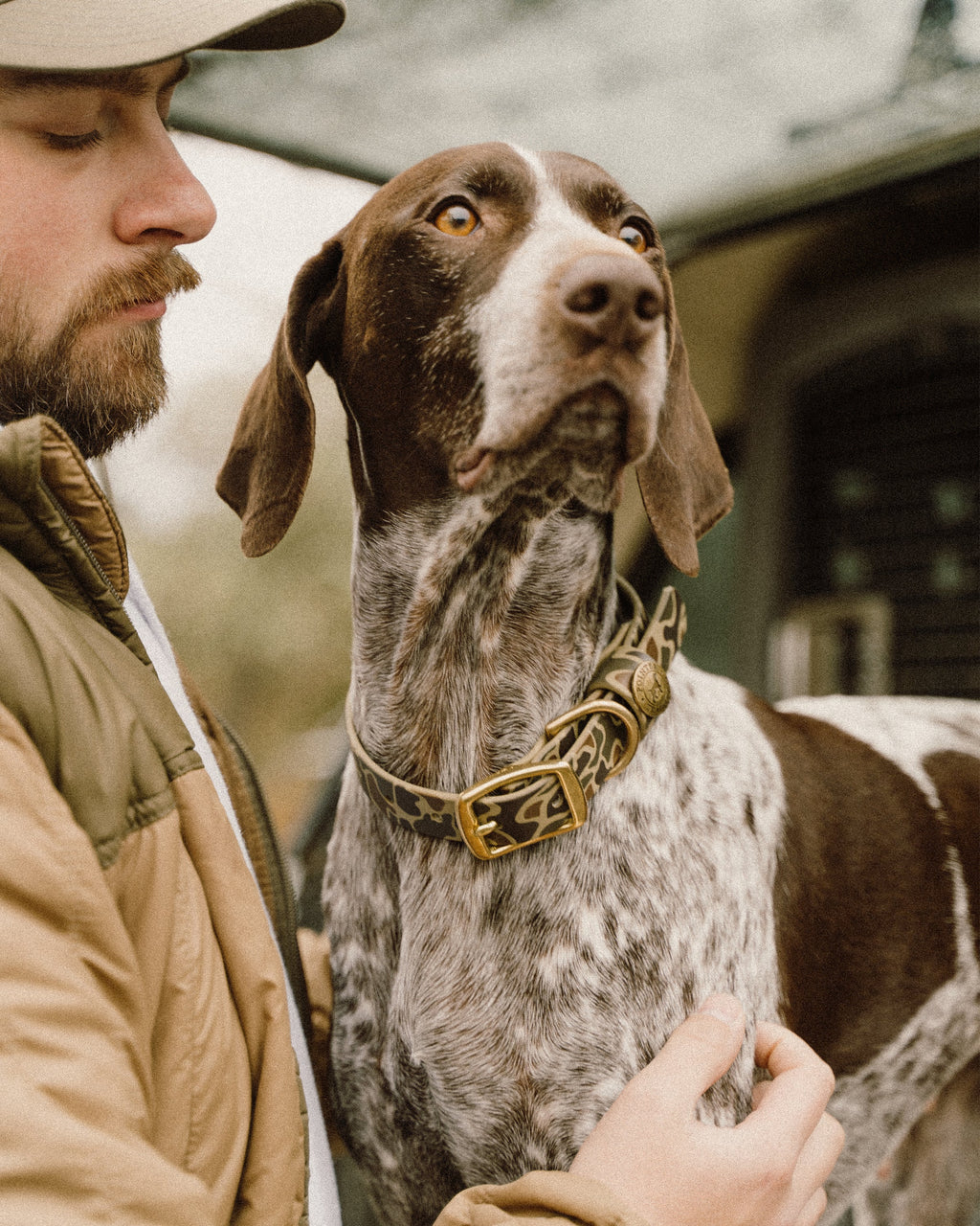 Dog Collar product image 2