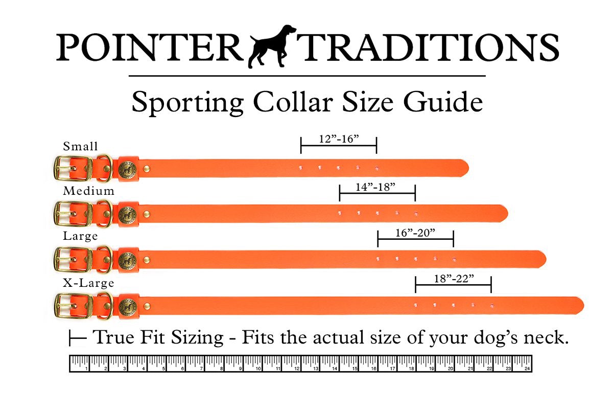 Dog Collar product image 3