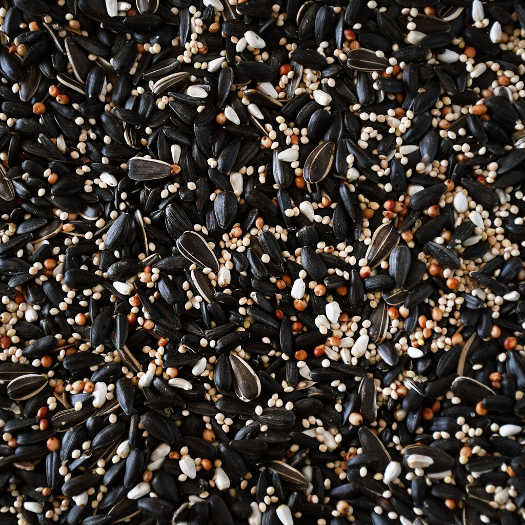 Wild Bird Food product image 7