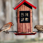 Wild Bird Food product image 8