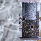 Wild Bird Food product image 10