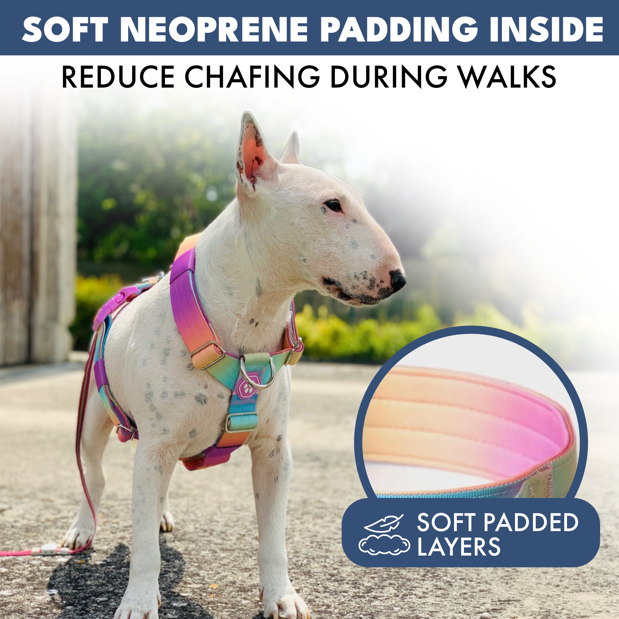 No-Pull Dog Harness Walking Set product image 12