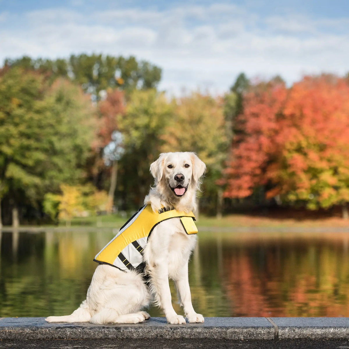 Dog Life Jacket product image 8