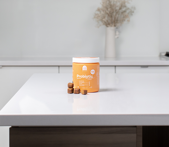 Dog Probiotic Soft Chews product image 4
