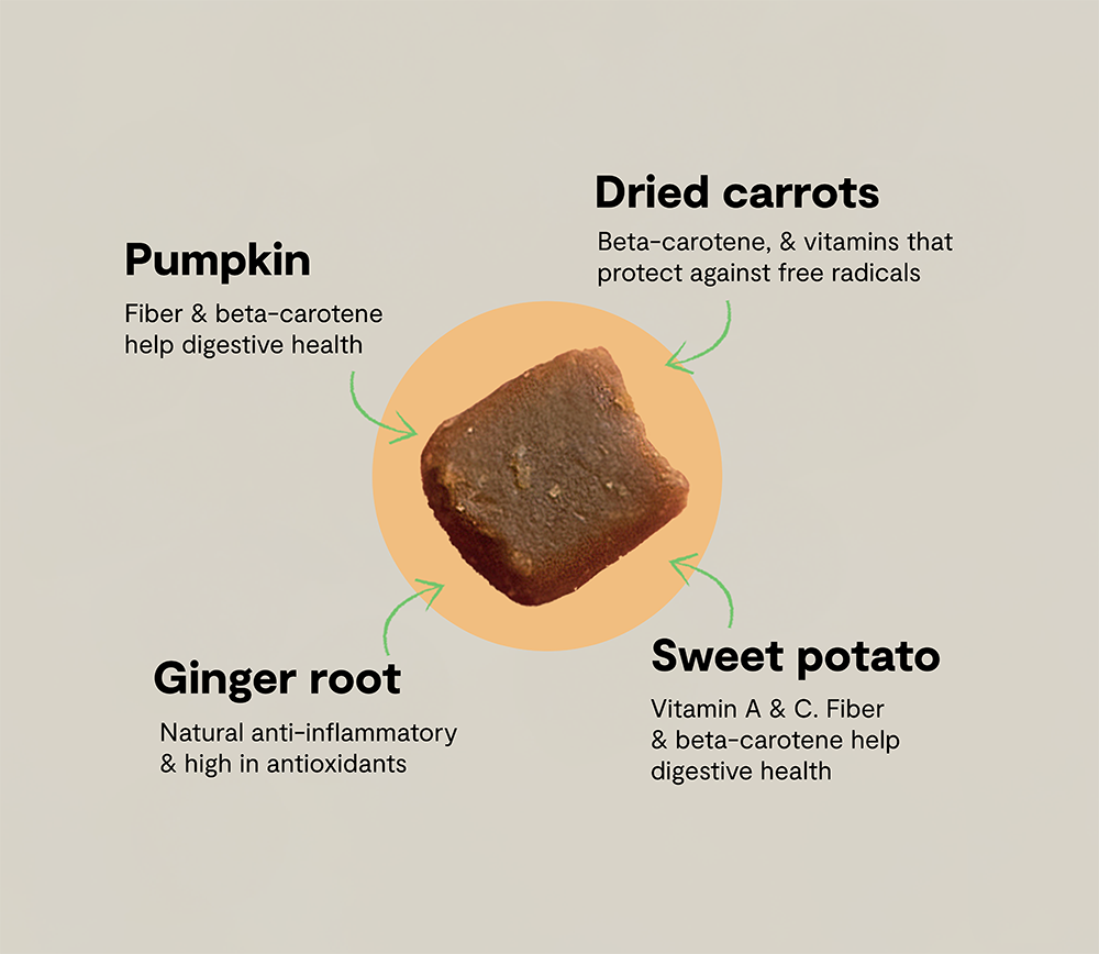 Dog Probiotic Soft Chews product image 5