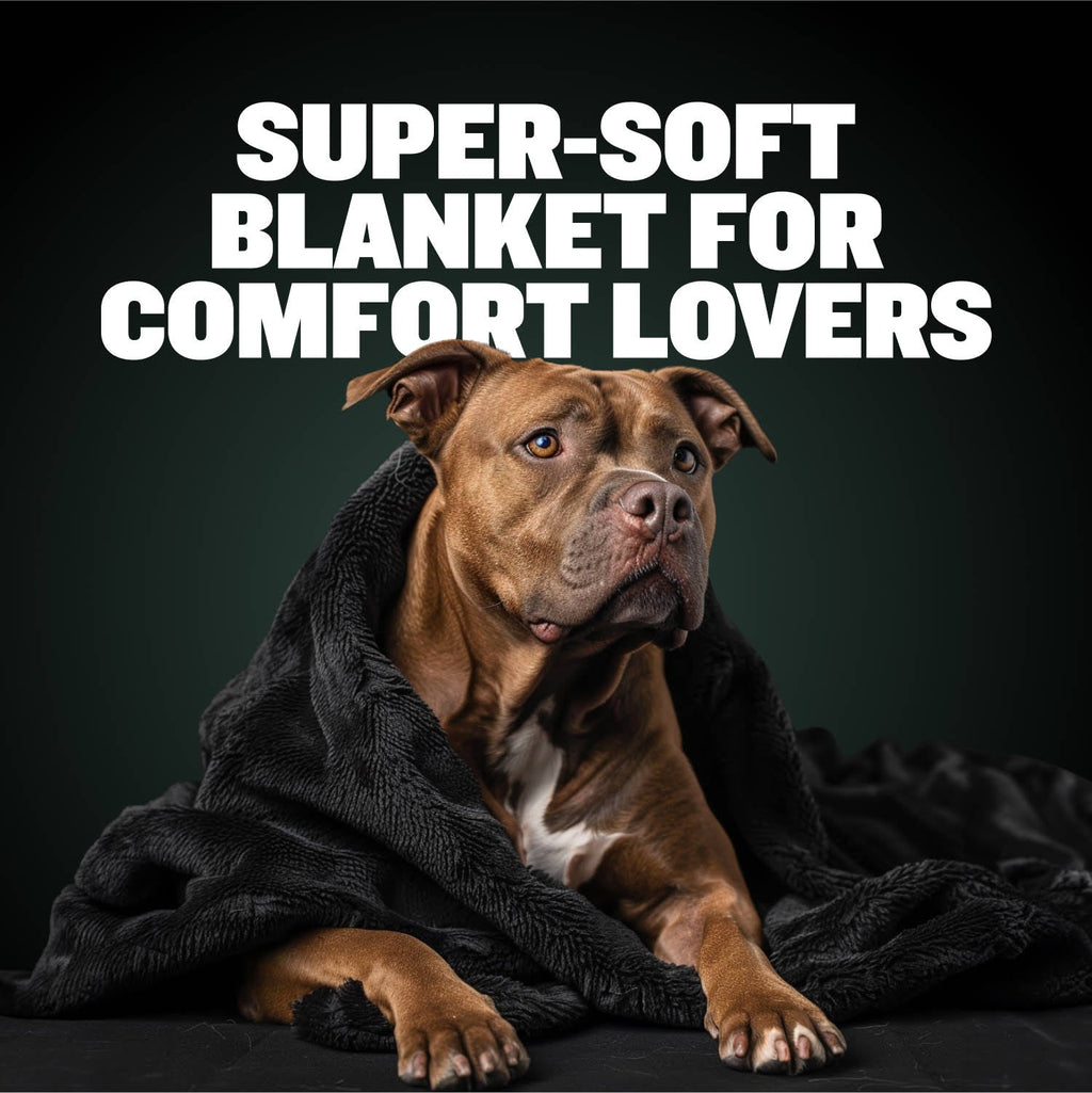 Dog Throw Blanket product image 2