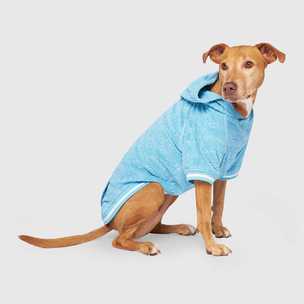 Dog Towel Hoodie product image 1