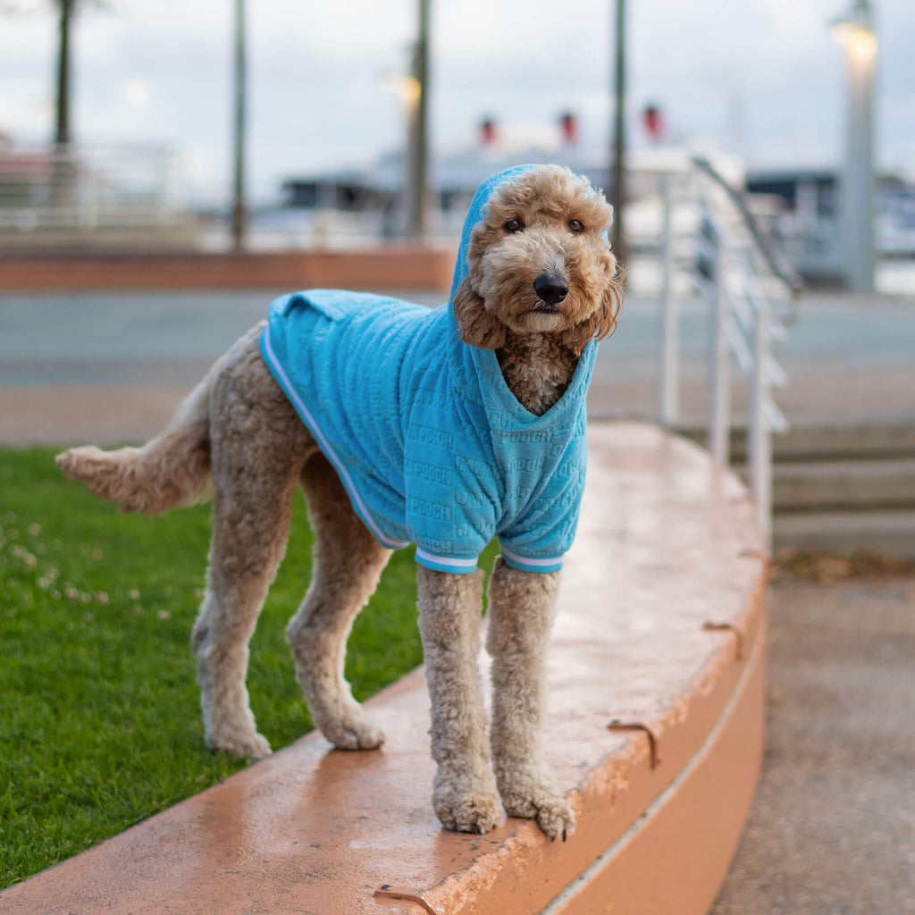 Dog Towel Hoodie product image 5