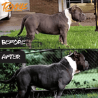 Dog Weight Gainer product image 7