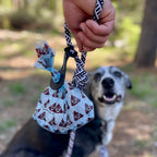 Hand holds Crap Carrier leash with poop emoji. Dog in harness looks at camera in a forest.