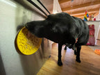 Pet Lick Mat product image 7