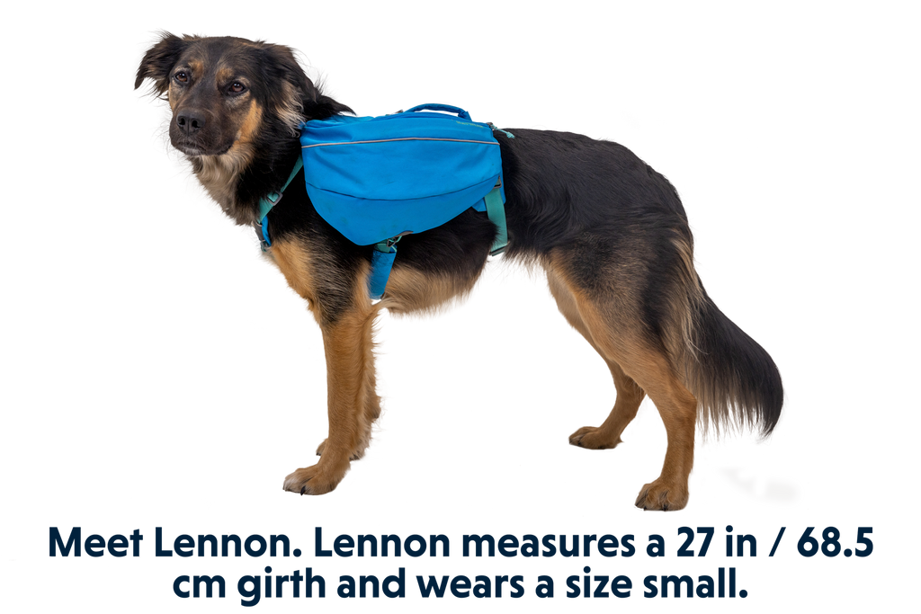 Dog Backpack product image 3