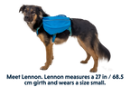 Dog Backpack product image 3