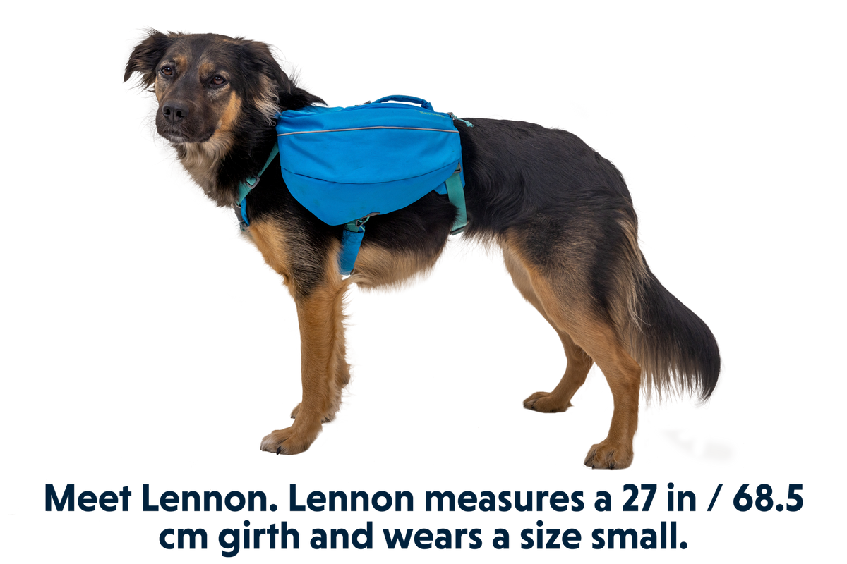 Dog Backpack product image 3