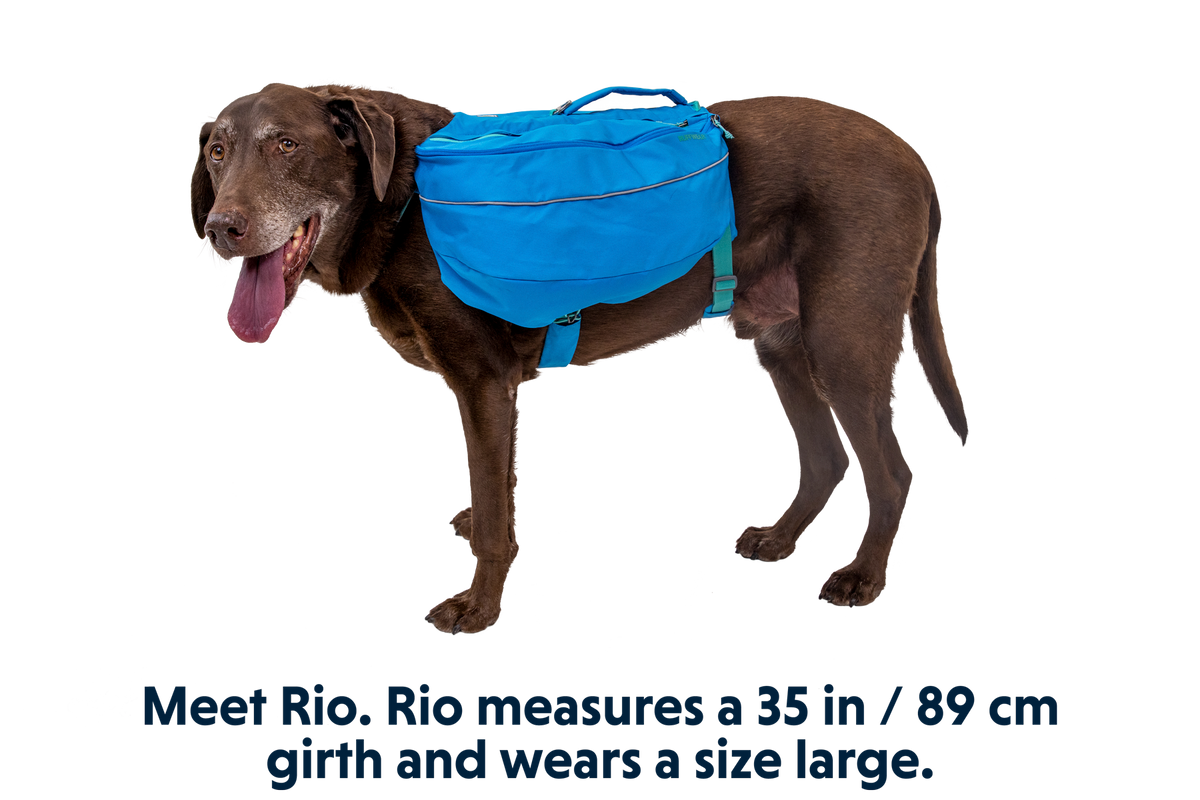 Dog Backpack product image 13