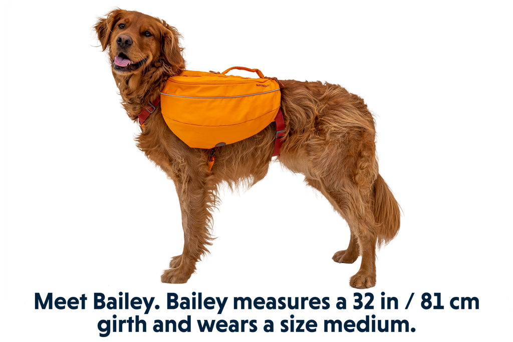 Dog Backpack product image 14
