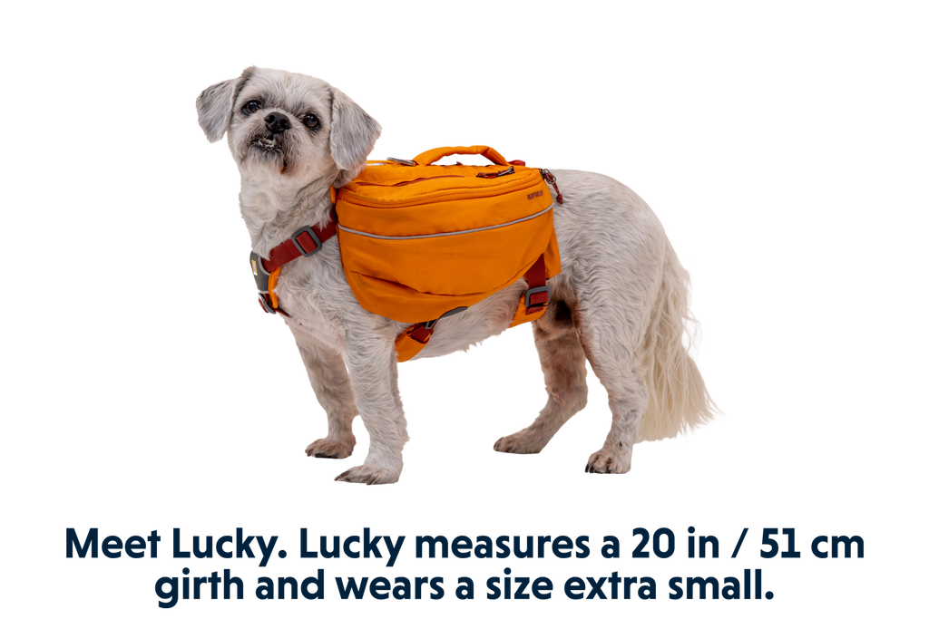 Dog Backpack product image 24