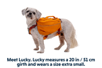 Dog Backpack product image 24