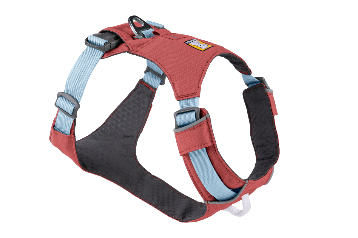 Hi and Light Harness Salmon Pink (658)