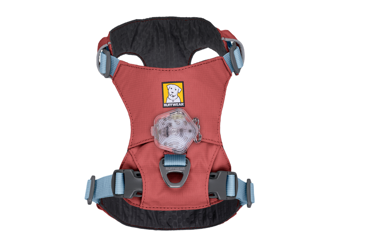 Lightweight Low-Profile Dog Harness product image 45