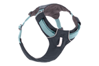 Basalt Gray (042)