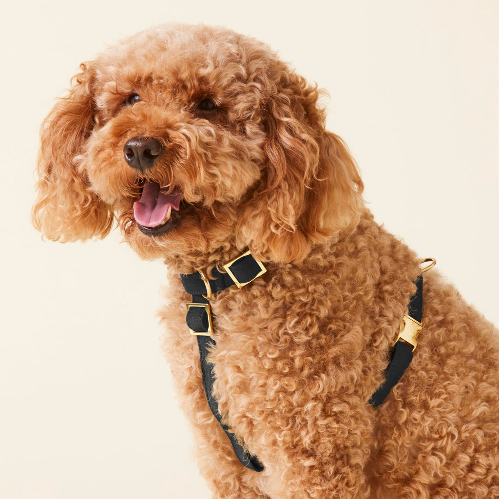 Dog Harness product image 5