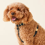 Dog Harness product image 5