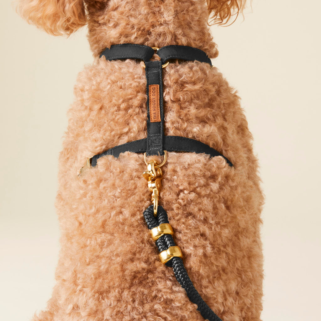 Dog Harness product image 7