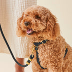 Dog Harness product image 8