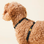 Dog Harness product image 10