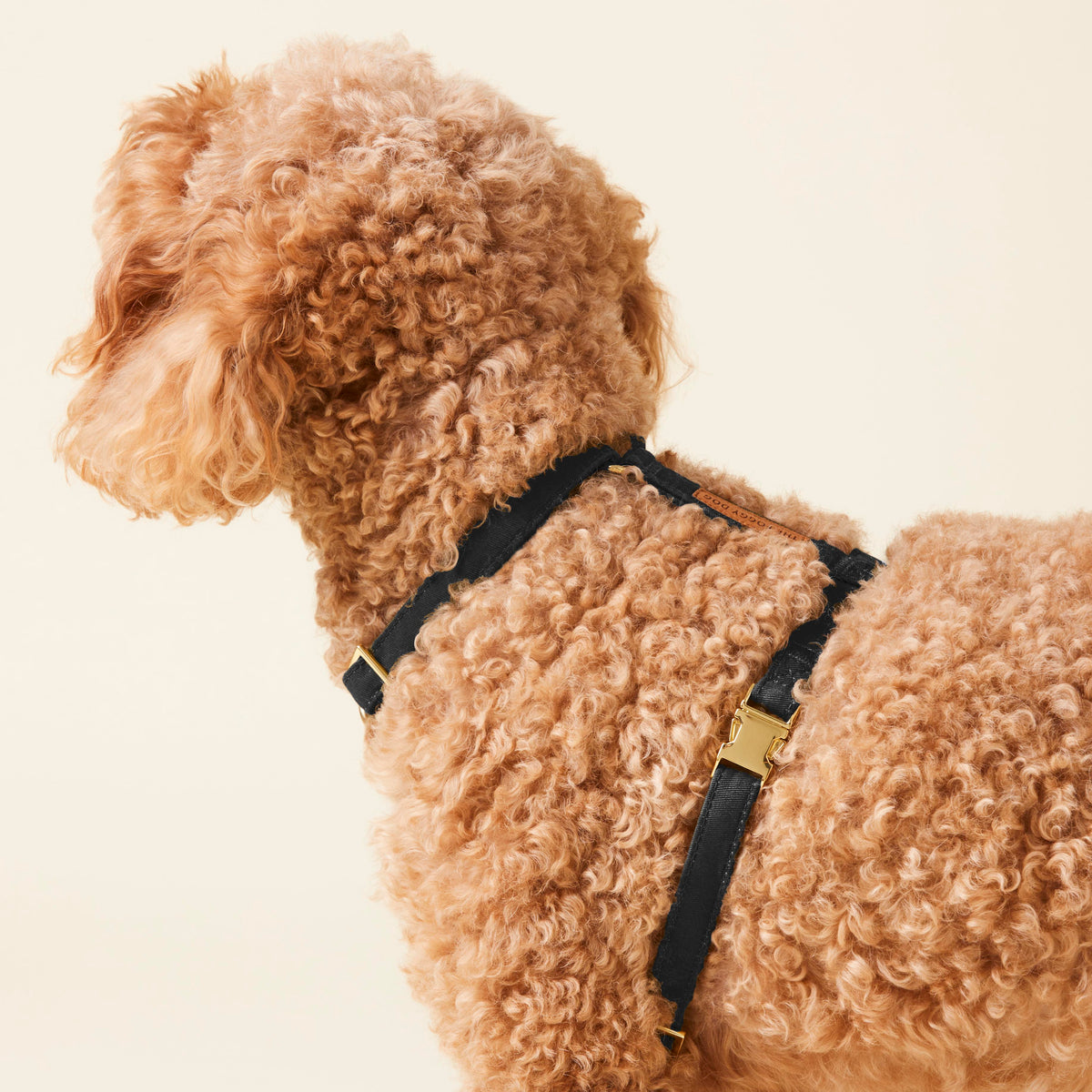 Dog Harness product image 10