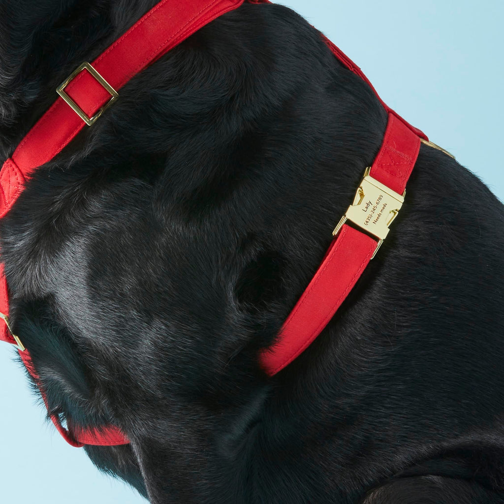 Dog Harness product image 6