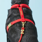 Dog Harness product image 7