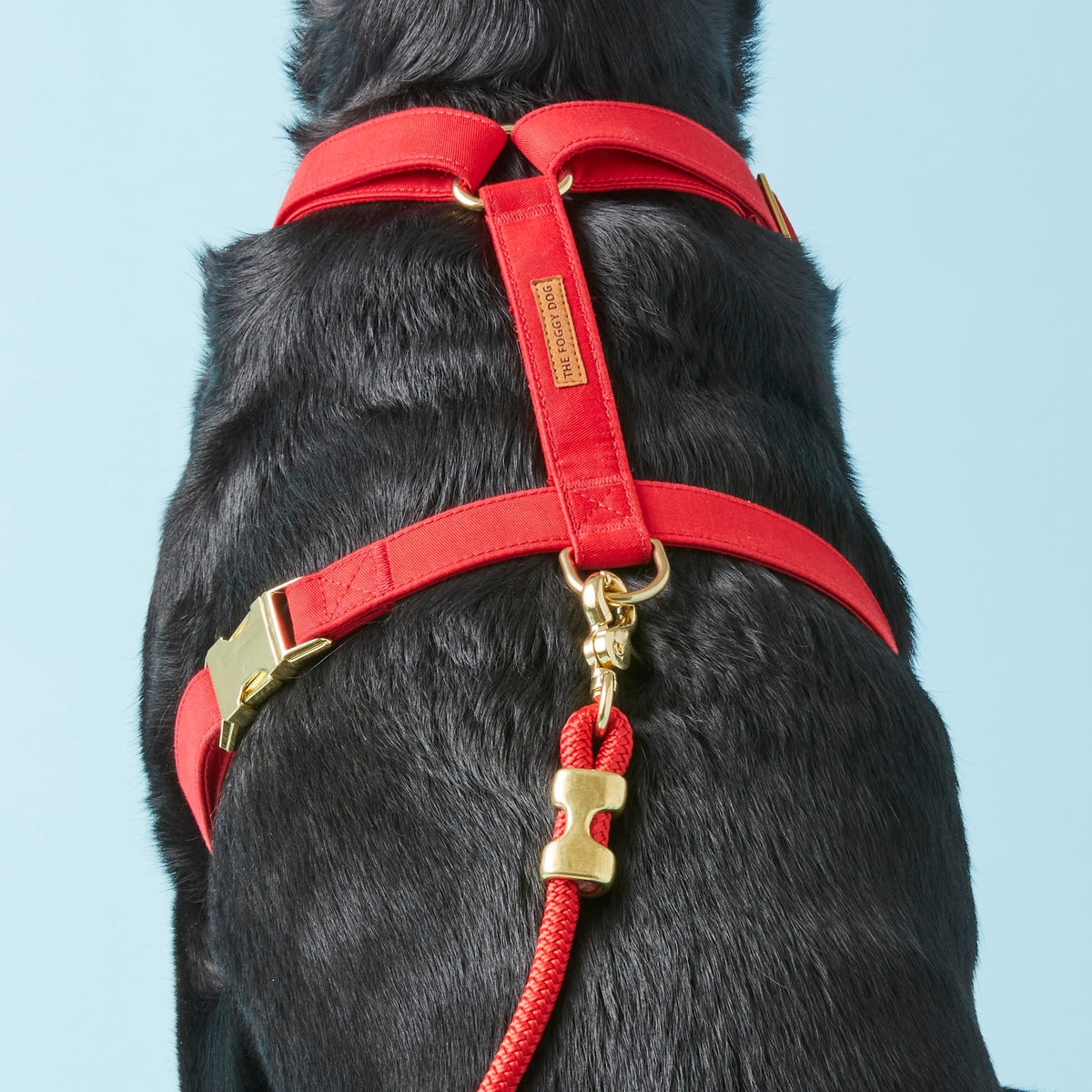 Dog Harness product image 7