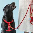 Dog Harness product image 8
