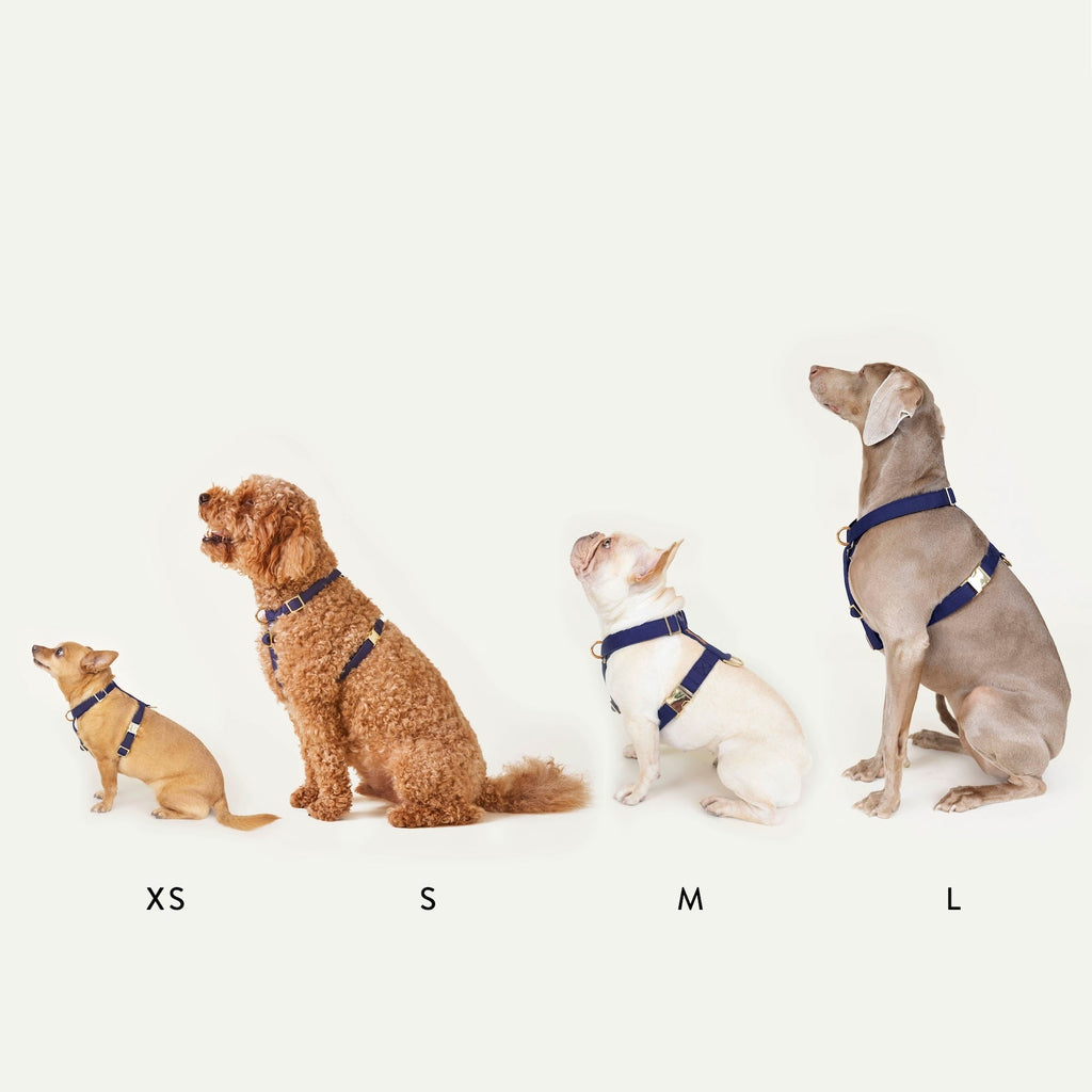 Dog Harness product image 11