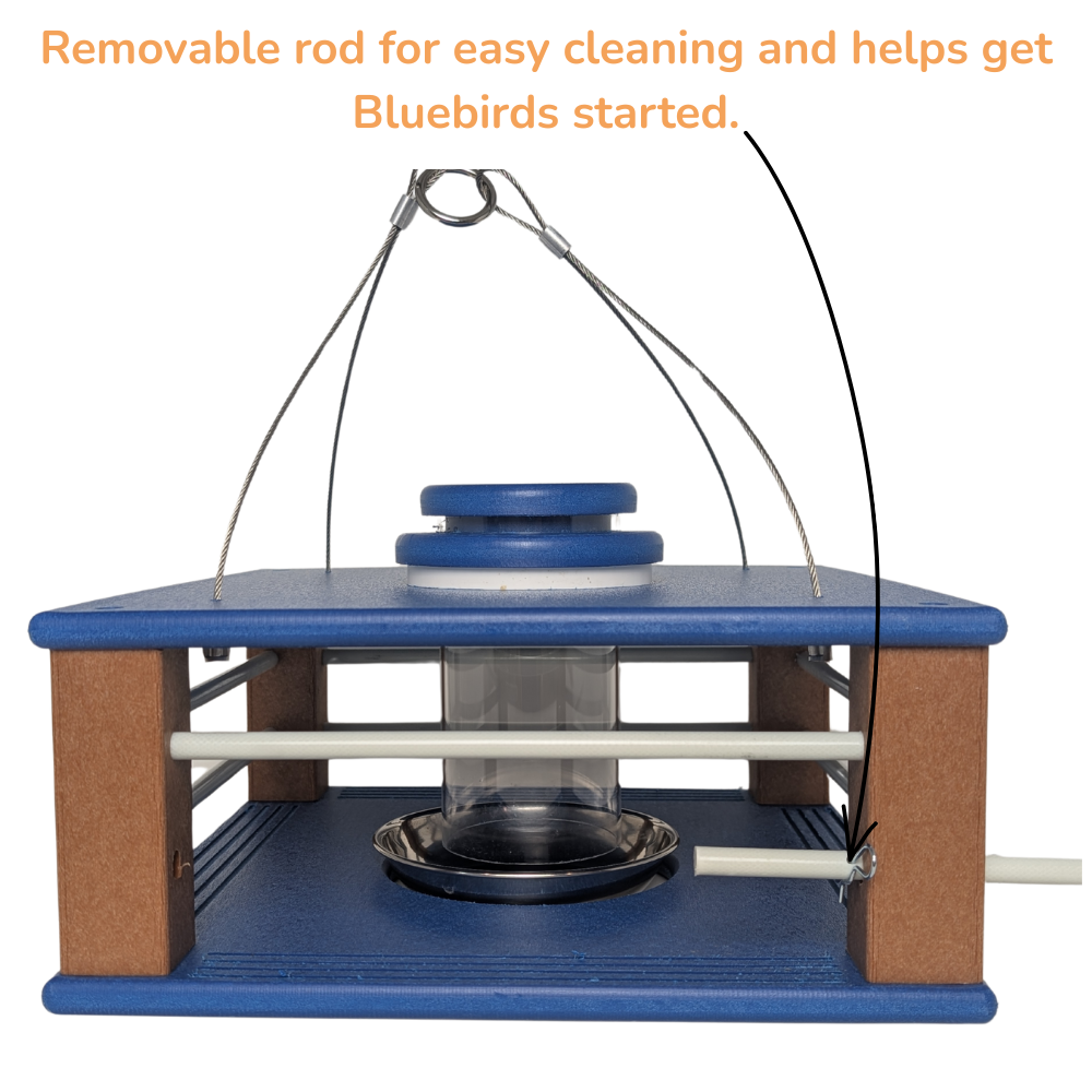 Eastern Bluebird Mealworm Feeder product image 7