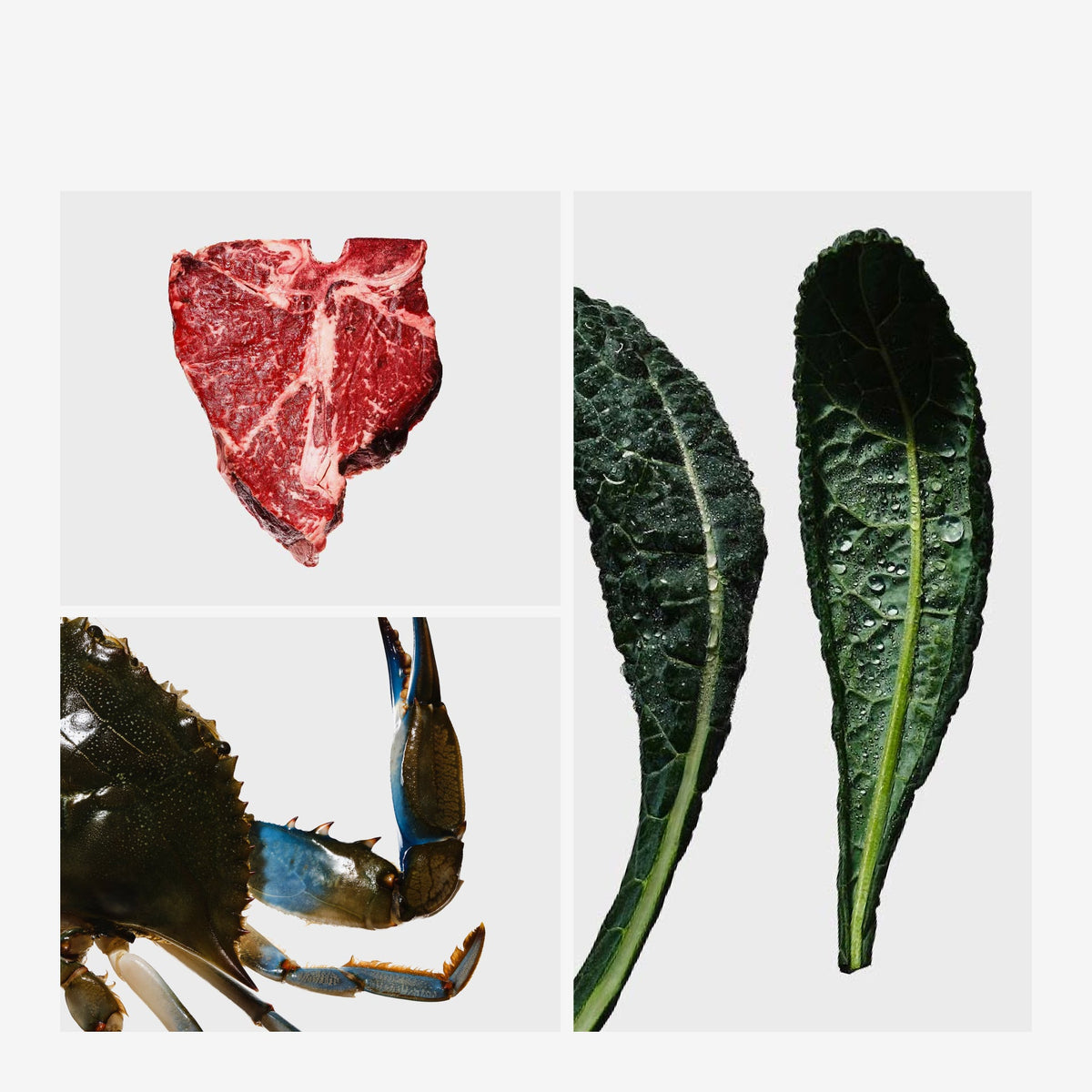 Dog Food Bundle product image 5