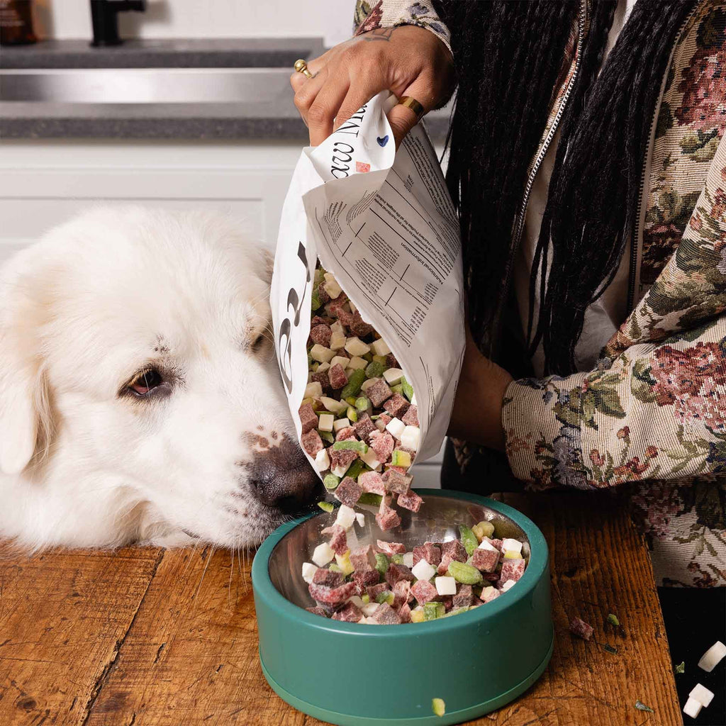 Dog Food Bundle product image 6