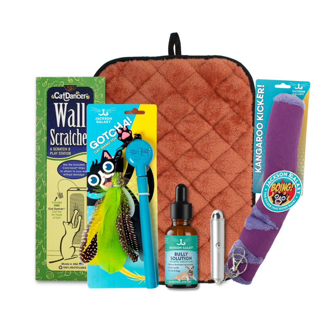 Cat Behavior Bundle product image 1