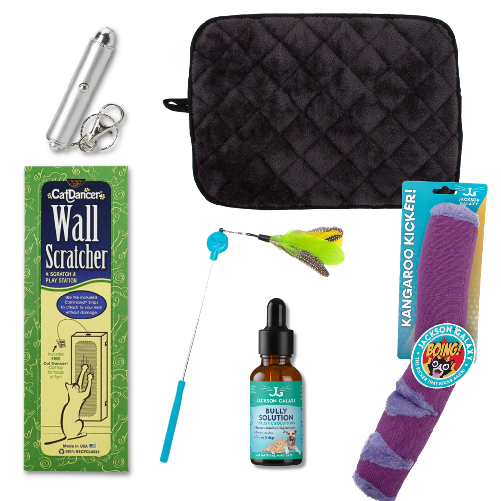 Cat Behavior Bundle product image 8