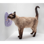 Cat Licking Mat Bundle product image 2