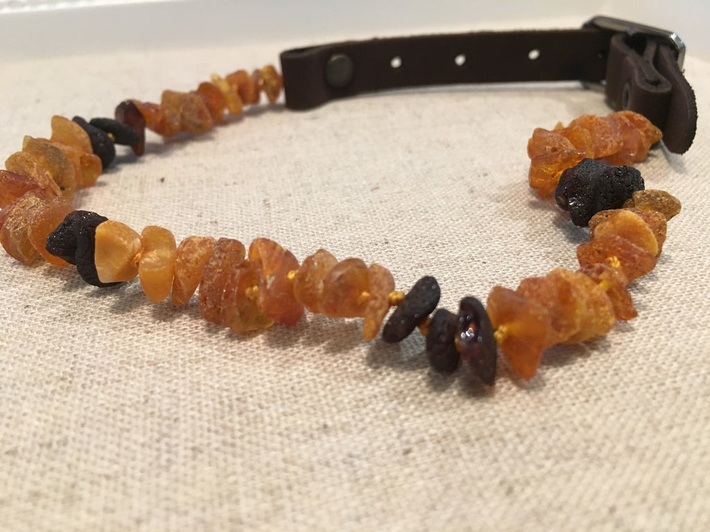 Amber Pet Collar product image 1
