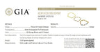 Amber Pet Collar product image 3