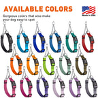 Martingale Dog Collar product image 5