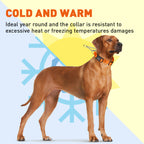 Martingale Dog Collar product image 9